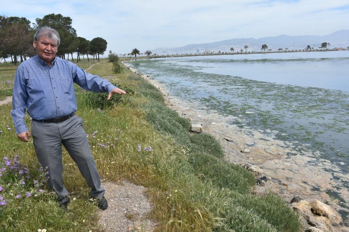 İzmir'deki kirlilik, Çakal Lagünü'de deniz marulunu ortaya çıkardı