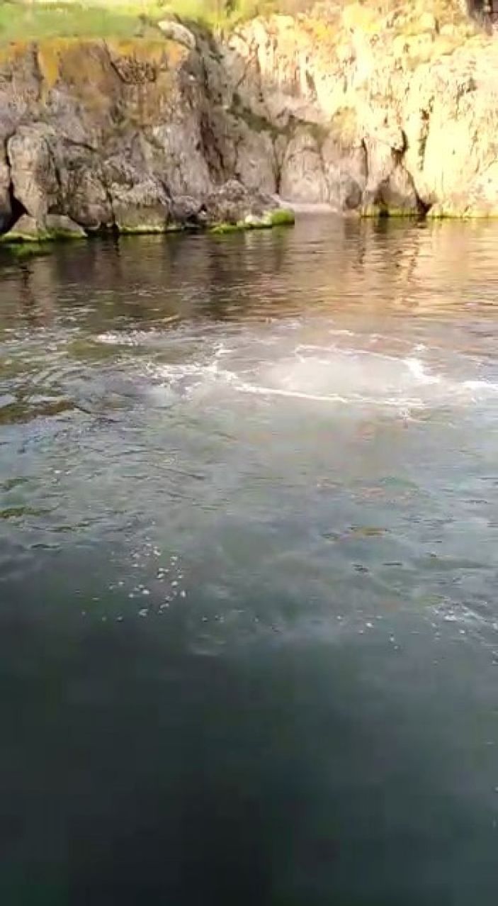 i Heybeliada denizinin yüzeyini lağım kapladı