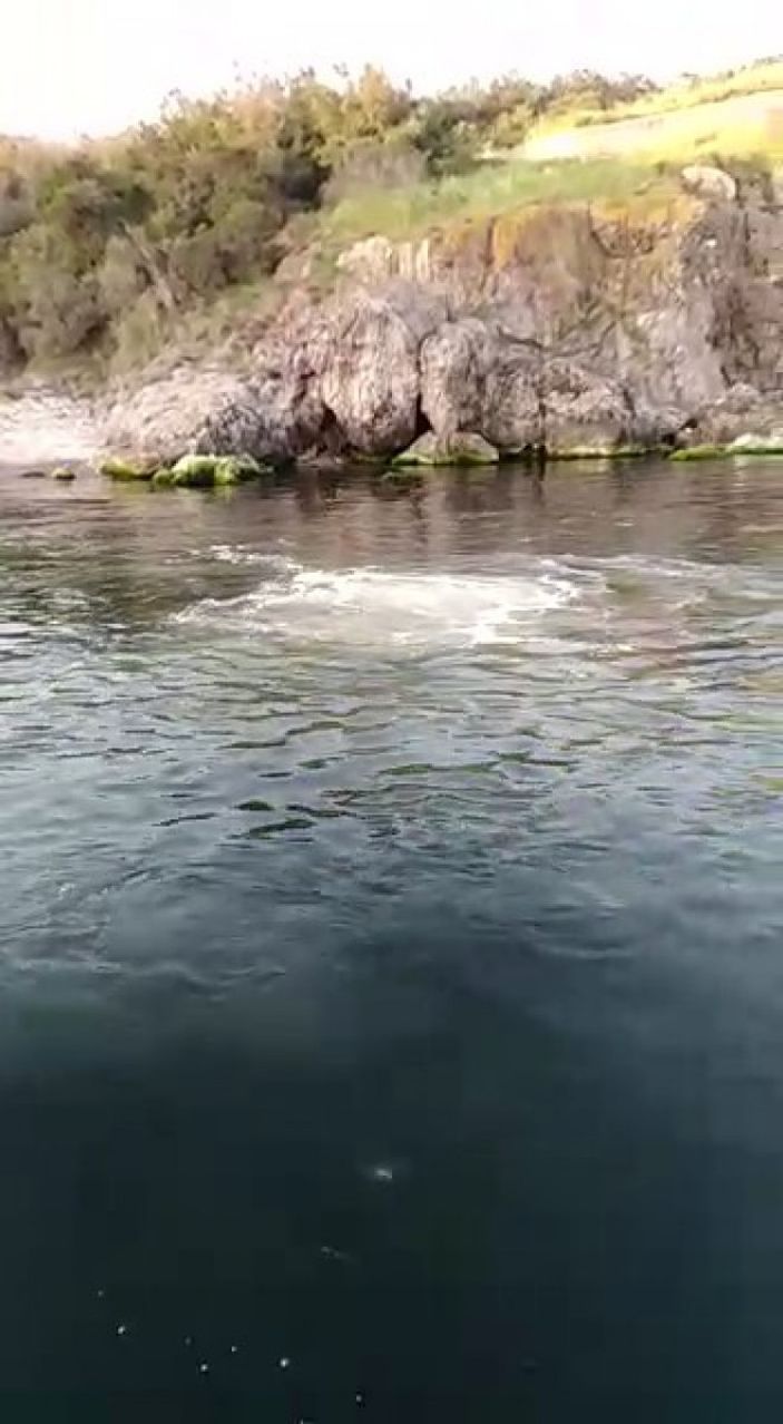 i Heybeliada denizinin yüzeyini lağım kapladı