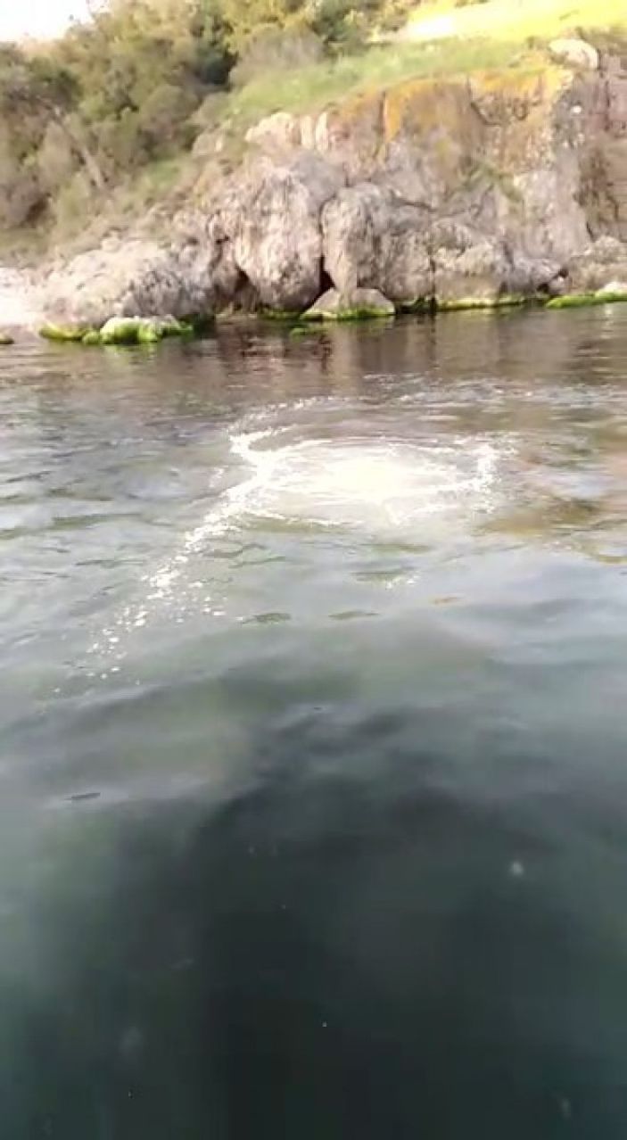 i Heybeliada denizinin yüzeyini lağım kapladı