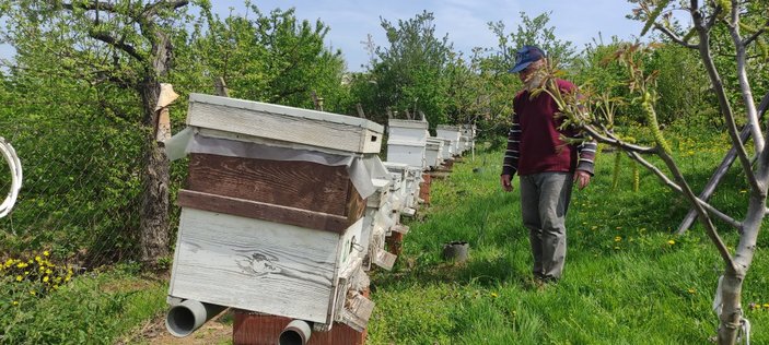 Bursa’da, yüzlerce arı telef oldu
