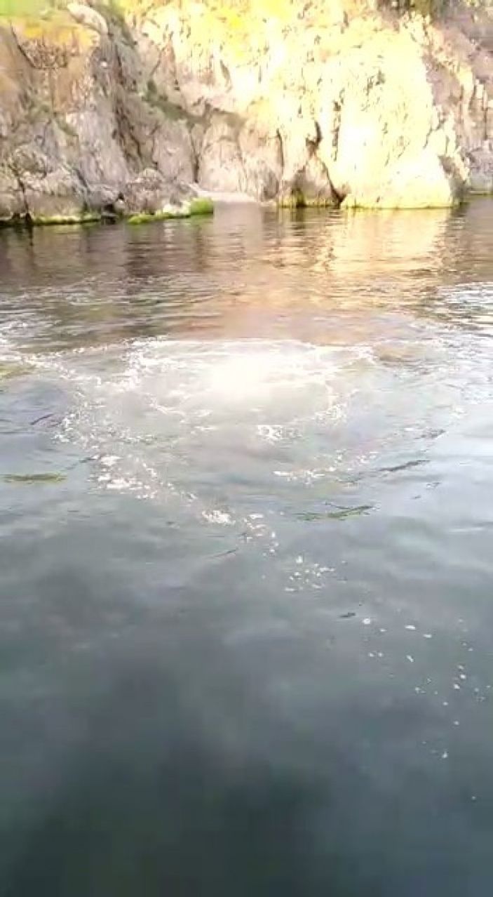 i Heybeliada denizinin yüzeyini lağım kapladı