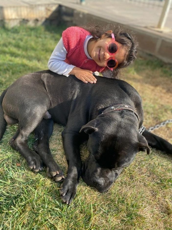 i Gaziantep'te Asiye'ye pitbull saldırısı: 4 sanık tahliye edildi