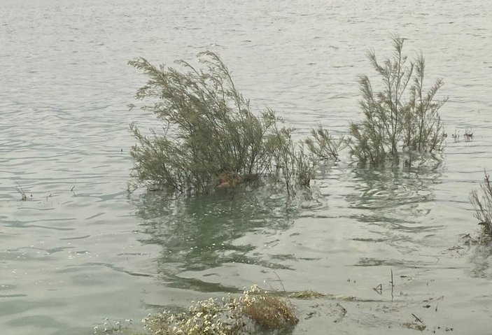 İzmir’de, baraj gölünde mahsur kalan çocuk sandalla kurtarıldı