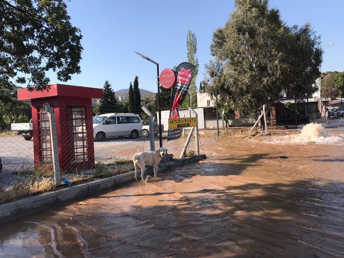 i Bodrum ana isale hattı patladı, iş yerlerini su bastı