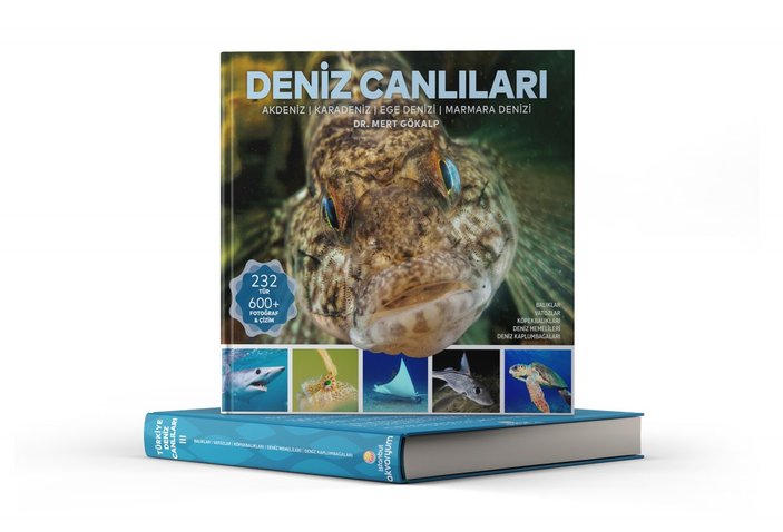 Türkiye'nin deniz canlılarıyla ilgili en kapsamlı kitap: Deniz Canlıları