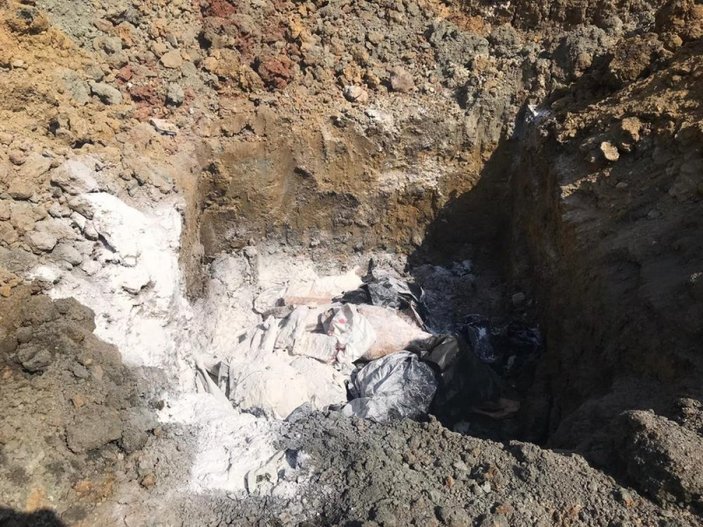 Ordu’da 2 ton kaçak et gömülerek imha edildi