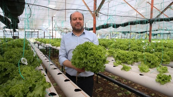 Antalya'da uçak mühendisi işini bırakarak topraksız tarıma yöneldi