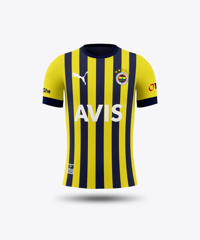 Fenerbahçe armasına 5 yıldız ekliyor