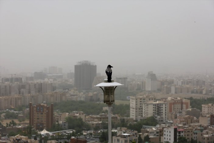 Tahran'da okullar, hava kirliliği nedeniyle tatil edildi
