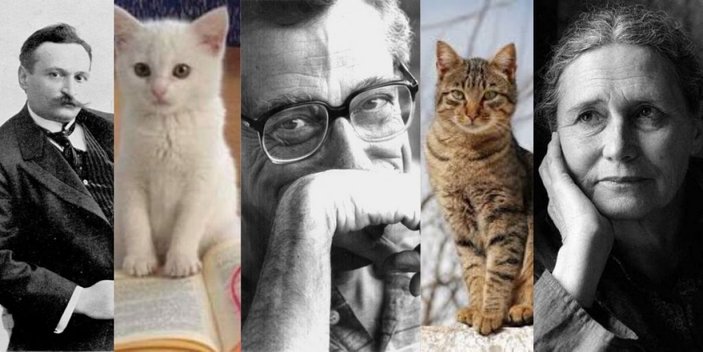 Edebiyatçılar yazarken en çok kedilerden ilham alıyor