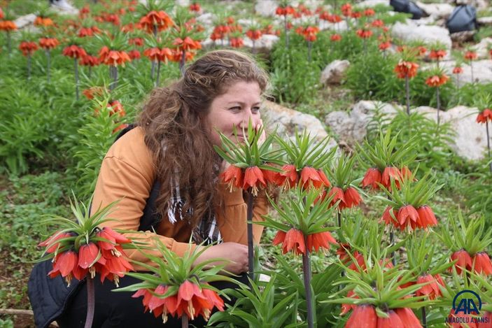 a Batman'da ters laleler baharın müjdecisi olarak görülüyor