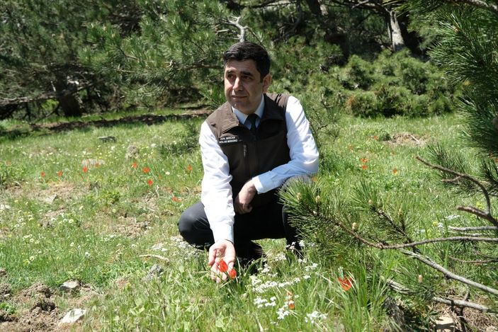 i Manisa lalesini koparana 109 bin 593 TL ceza