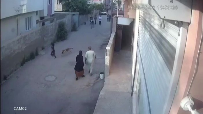 Adana'da sokak köpeği çocuğa saldırdı