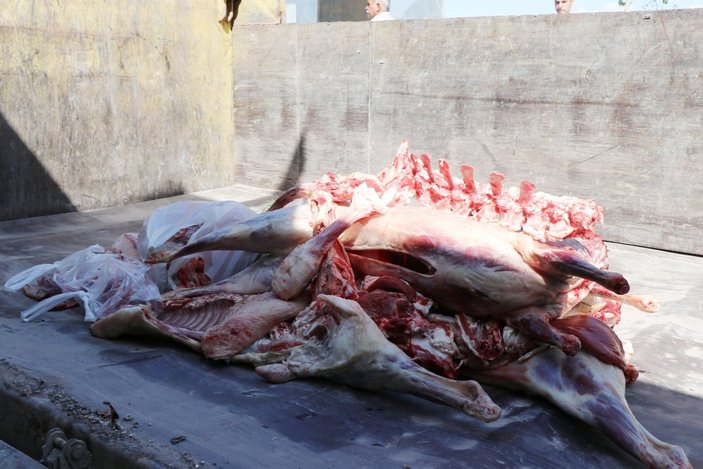 Şanlıurfa’da zabıta 1 ton 250 kilogram bozuk et ele geçirdi