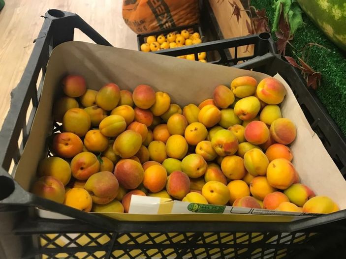 i Kayısı tezgahta yerini aldı: Kilosu 50 TL