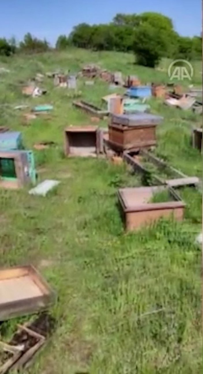 Tekirdağ’da arı kovanları tahrip edildi, genetik arı ırkları çalındı