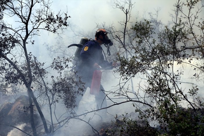 Muğla'da orman yangını söndürüldü