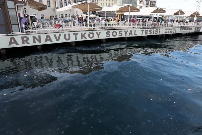 Arnavutköy'de denizanası ve çöp yoğunluğu
