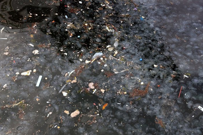 Arnavutköy'de denizanası ve çöp yoğunluğu