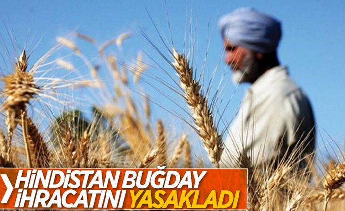 Tarım Bakanlığı'ndan 'Hindistan'dan buğday ithalatı' iddiasına yalanlama