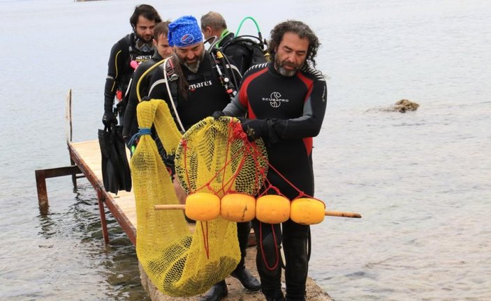 Akdeniz'de zehirli deniz kestanesi sayısı risk oluşturmaya başladı
