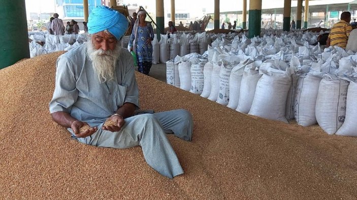Hindistan'dan buğday ihracatına yasak