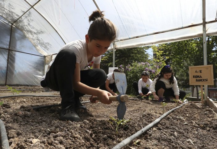 Ankara'da okul bahçesindeki 'böcek oteliyle' canlıların yaşamını öğreniyorlar