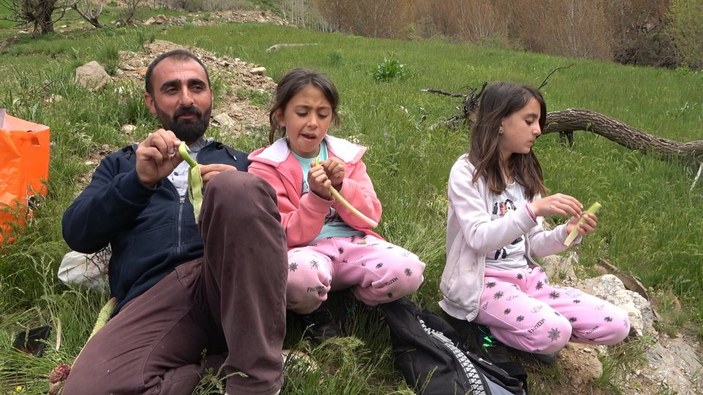 Bitlis'te ışkın toplamak için sarp dağlara tırmandılar