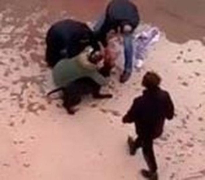 Asiye'ye pitbull saldırısı davasında tutuklu sanık kalmadı
