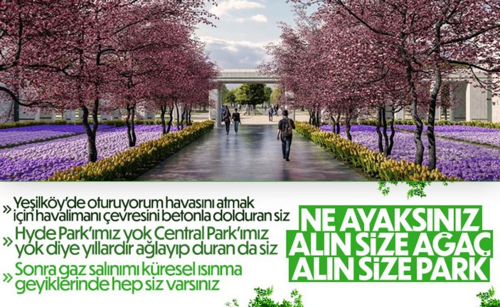 İstanbul'un yeni millet bahçesinde ilk fidan 29 Mayıs'ta dikilecek