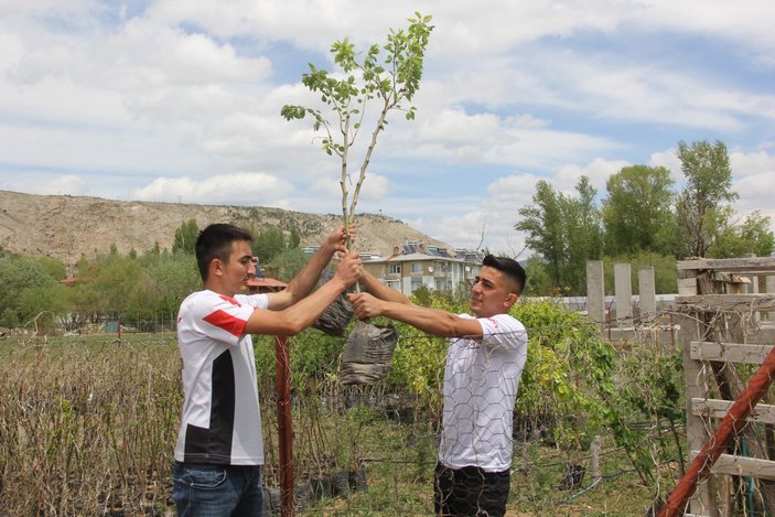 Sivas'ta ölen babası için meyve ağaçları ekti