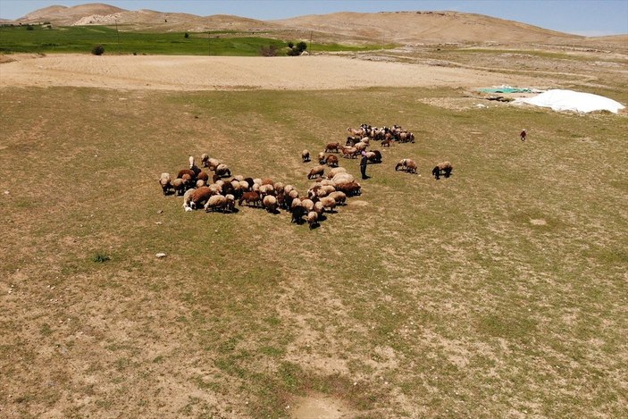 Elazığ'da devlet desteği ile sürü sahibi oldu, köye yerleşti