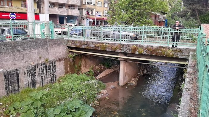 Zonguldak’ta su samuru, dereden ördek yakaladı