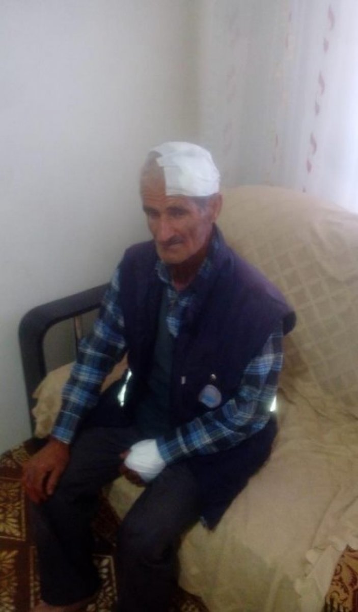 Diyarbakır'da yaşlı adama köpekler saldırdı