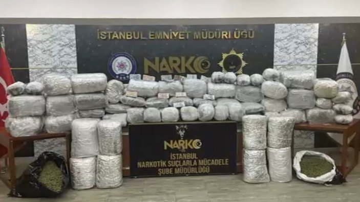 İstanbul'da kenevir operasyonu: 248 kilo bulundu