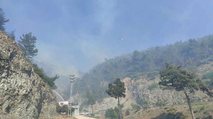 Hatay'daki orman yangınıyla ilgili 1 kişi tutuklandı