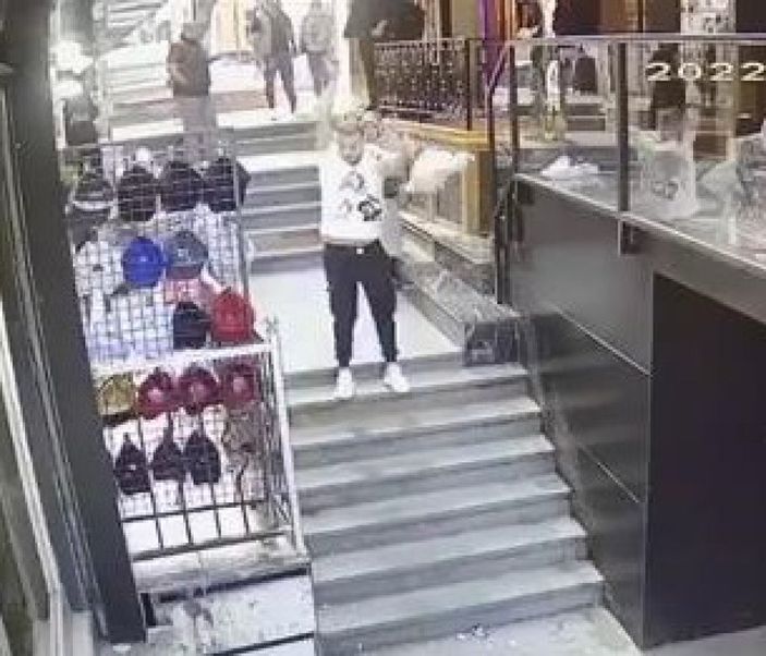 d Fatih'te kedi, köpek ve sahibine saldırdı