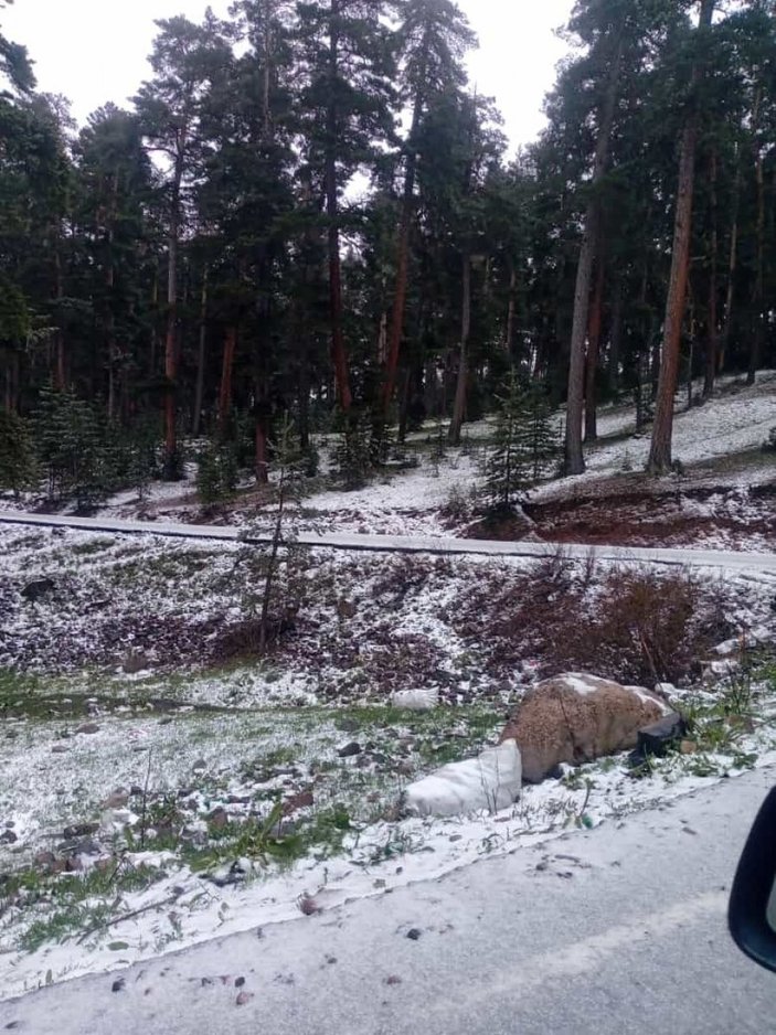 Erzurum'da mayıs ayında kar yağışı