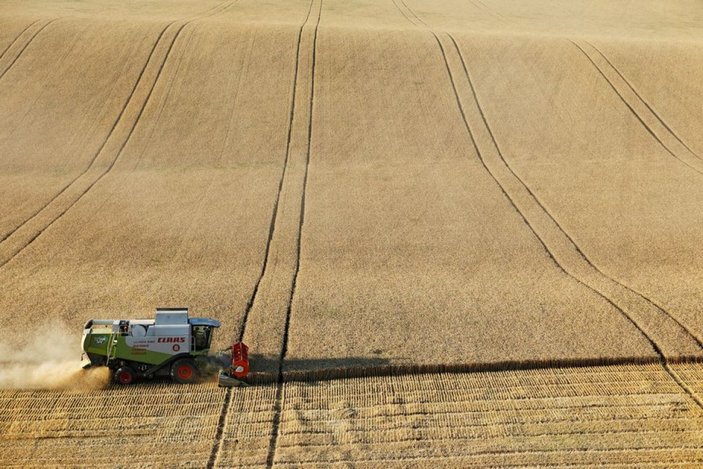 Rusya'dan tahıl krizine çözüm önerisi: Yaptırımları kaldırın