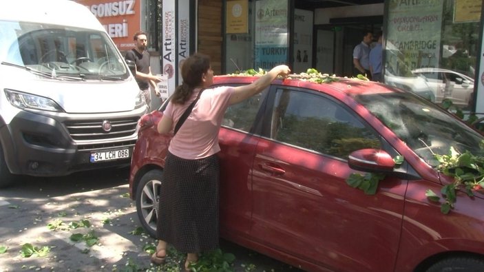 Kadıköy'de şaşırtan anlar: Aracın üzerine devrilen ağaçtan dut topladılar