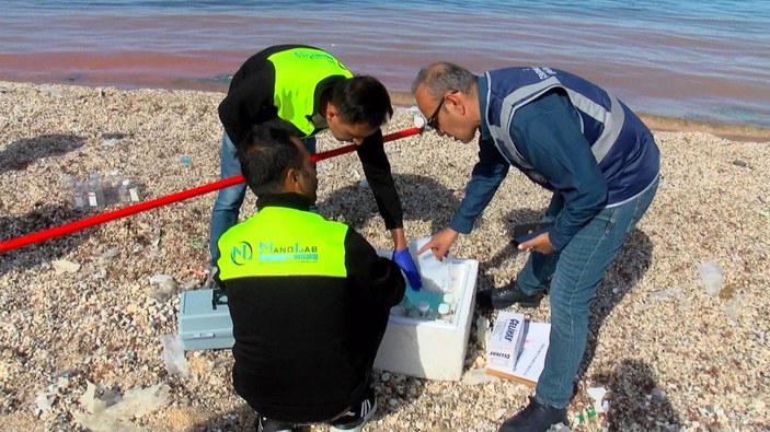 Karadeniz'de korkutan renk değişimi: 'Alg patlaması' sebep oldu