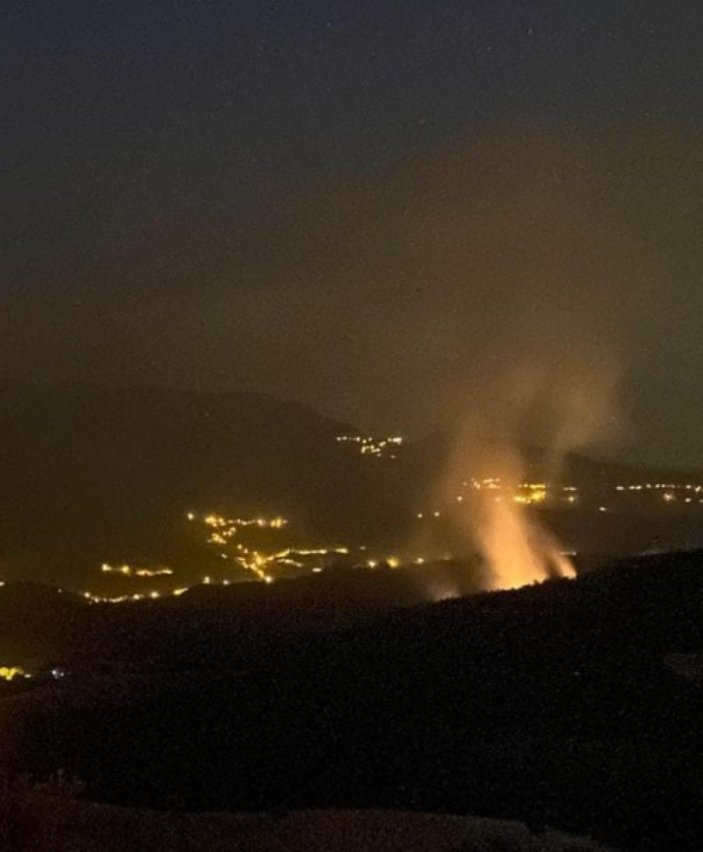 Adana Kozan'da orman yangını