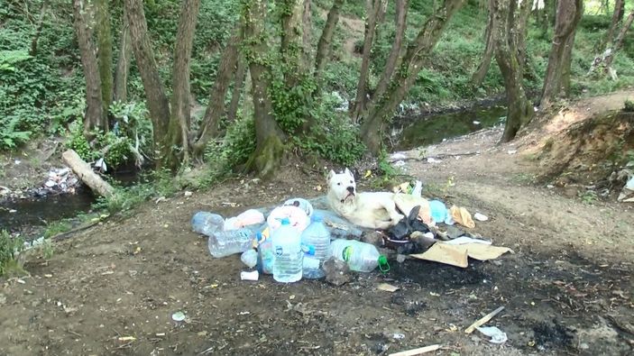d Belgrad Ormanı'ndan piknikçiler gitti, çöpler kaldı