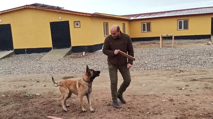 Kırıkkale'de çiftliğini korumak için aldığı köpek parmağını koparttı