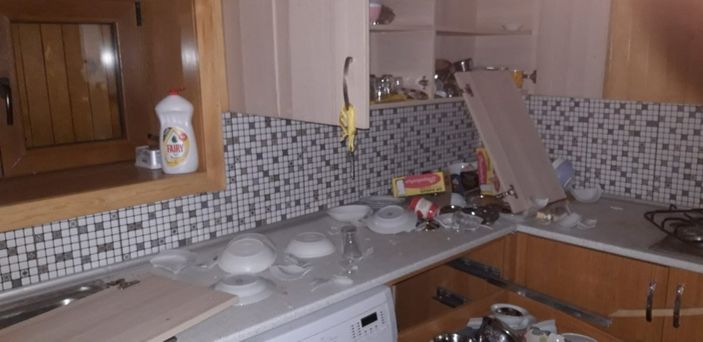 d Rize’de, aç kalan ayılar yayla evinin altını üstüne getirdi