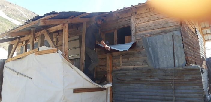 d Rize’de, aç kalan ayılar yayla evinin altını üstüne getirdi