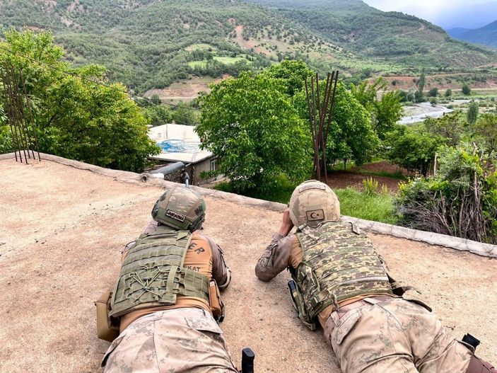 Bitlis merkezli PKK operasyonu: 12 gözaltı
