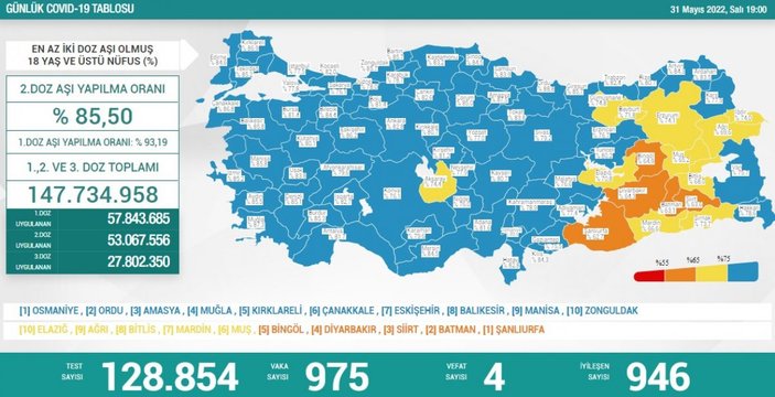 31 Mayıs Türkiye'nin koronavirüs tablosu