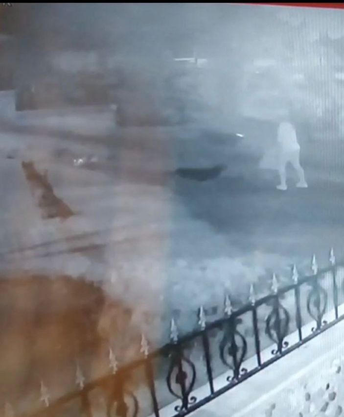 Zonguldak’ta genç kadına 15 sokak köpeğinin saldırdığı an